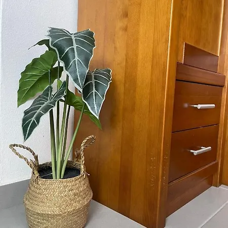 Holiday home Passagem Pro Mar *